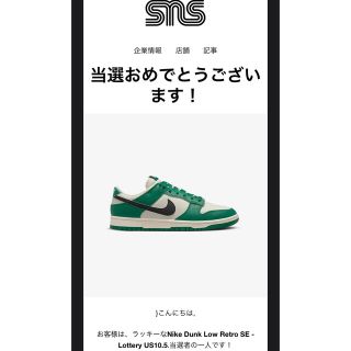 Nike Dunk Low Retro SE Lottery 28.5 | siennacleaners.com