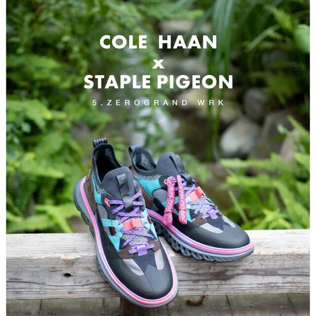 Cole Haan(コールハーン)の世界50足限定  新品COLE HAAN STAPLE PIGEON メンズの靴/シューズ(スニーカー)の商品写真