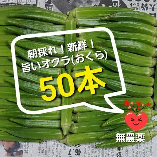 オクラ(おくら)50本　ポスト投函　農薬不使用(野菜)