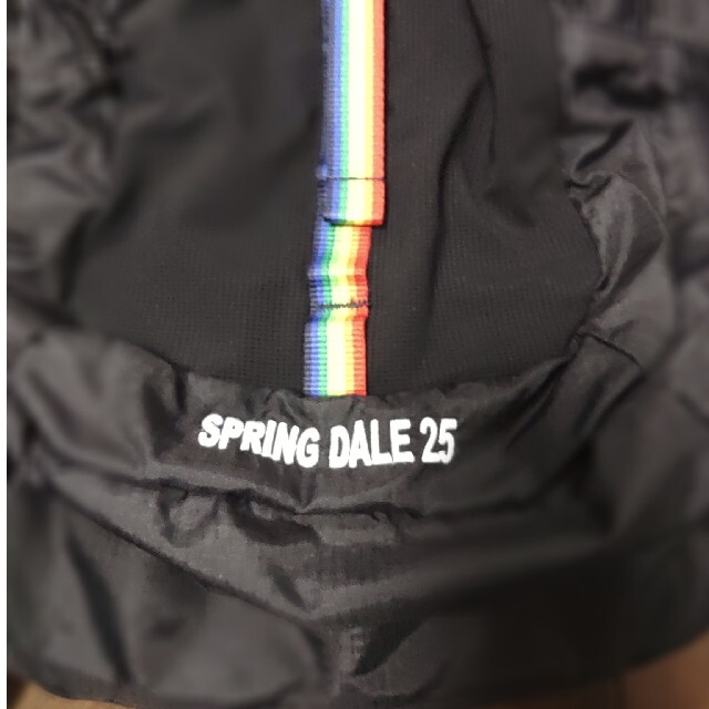 CHUMS(チャムス)のCHUMS　spring dale 25 バックパック　フェス　アウトドア メンズのバッグ(バッグパック/リュック)の商品写真