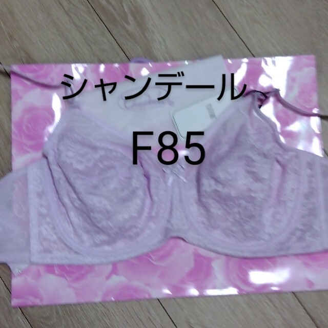 シャンデール　ブラジャー　F85