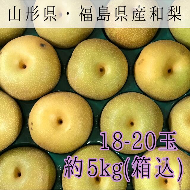 003 和梨5kg(18-20玉) 山形県産 福島県産 ご家庭用 食品/飲料/酒の食品(フルーツ)の商品写真