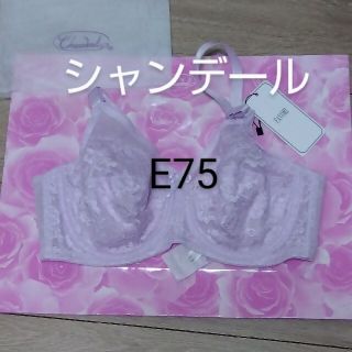 シャンデール　フルカップブラジャー　E75(ブラ)