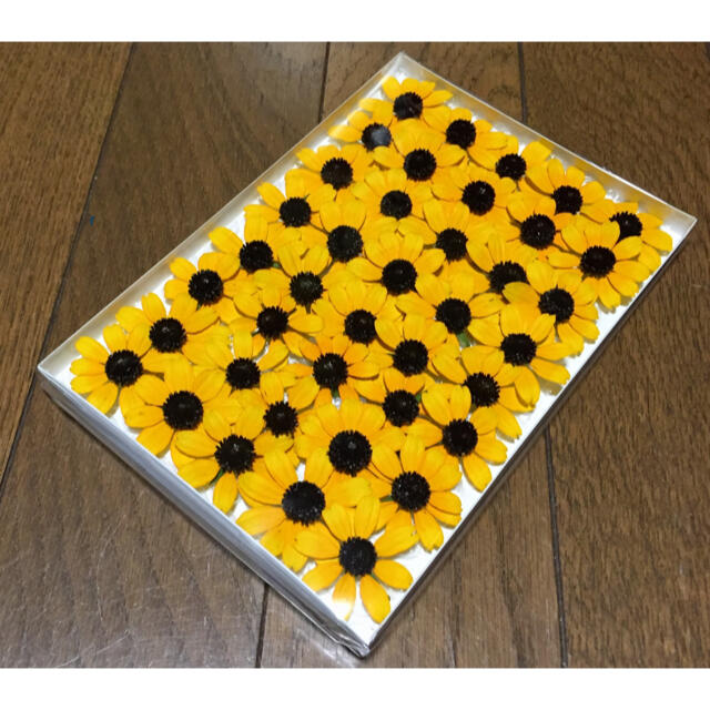 100円お値引き‼️「銀の紫陽花お取り引き5,000件超え感謝セール‼️」 ハンドメイドのフラワー/ガーデン(ドライフラワー)の商品写真