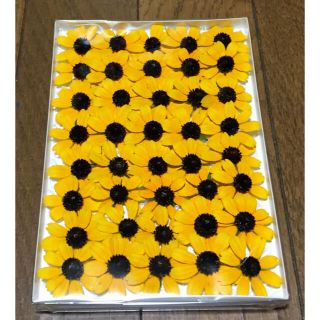 100円お値引き‼️「銀の紫陽花お取り引き5,000件超え感謝セール‼️」(ドライフラワー)