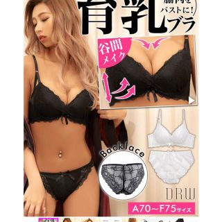 デイジーストア(dazzy store)の育乳脇高ブラジャー&フルバックショーツ d65 drw(ブラ&ショーツセット)