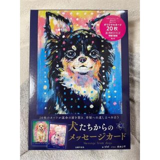 犬たちからのメッセージカード viviの通販 by プロフ必読お願いします