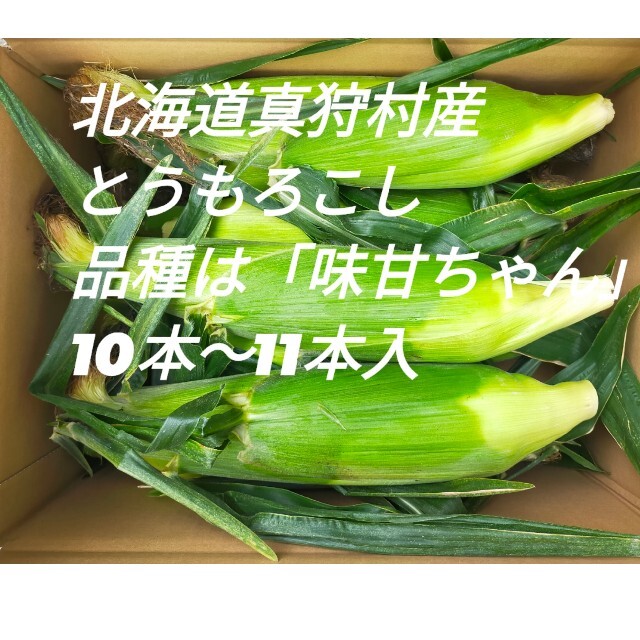 北海道真狩村産とうもろこし　品種は「味甘ちゃん」 食品/飲料/酒の食品(野菜)の商品写真