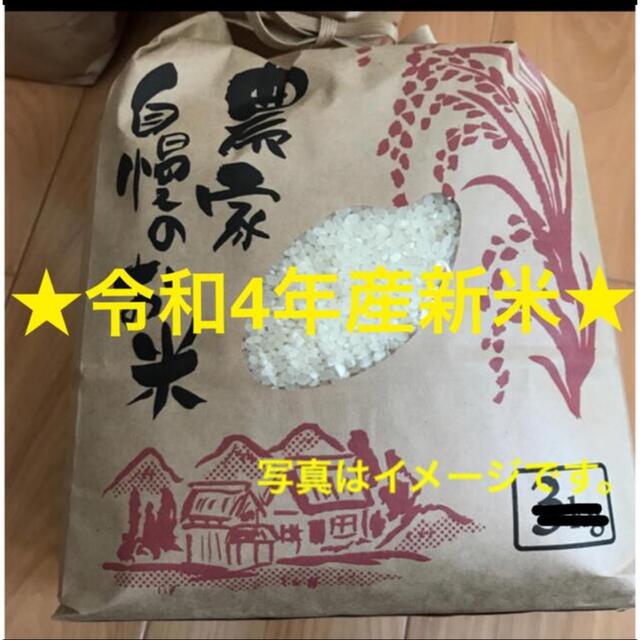 税込) ☆新米☆ 令和4年産コシヒカリ 白米 20kg 米+穀物 - traama.com.br