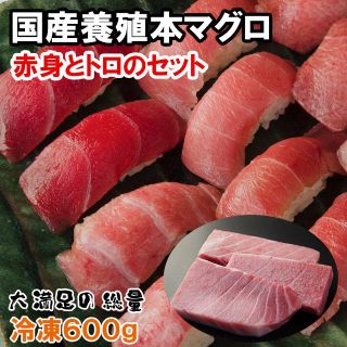 【国産厳選３柵】本マグロ赤身とトロのセット【混載１万円以上で送料無料】(魚介)