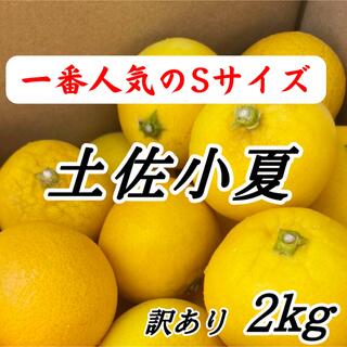 高知特産 土佐小夏 小夏 約2kg 日向夏 ニューサマーオレンジ(フルーツ)