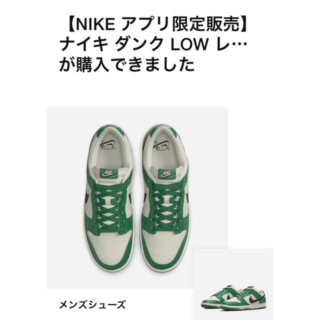 Nike Dunk Low SE Lottery  ダンク