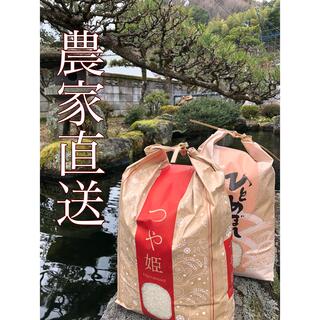 【送料無料】令和5年産 新米 選べるお米セット　5Kg×2袋(米/穀物)