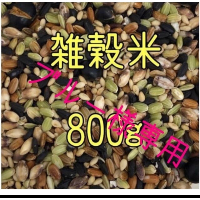 ブルー様専用　雑穀米　800ｇ　（400g×2） 食品/飲料/酒の食品(米/穀物)の商品写真