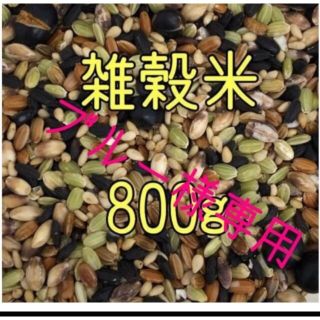 ブルー様専用　雑穀米　800ｇ　（400g×2）(米/穀物)