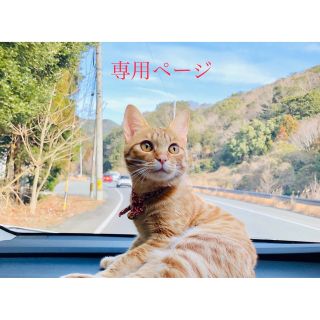 リチャード様　専用(ブレスレット)