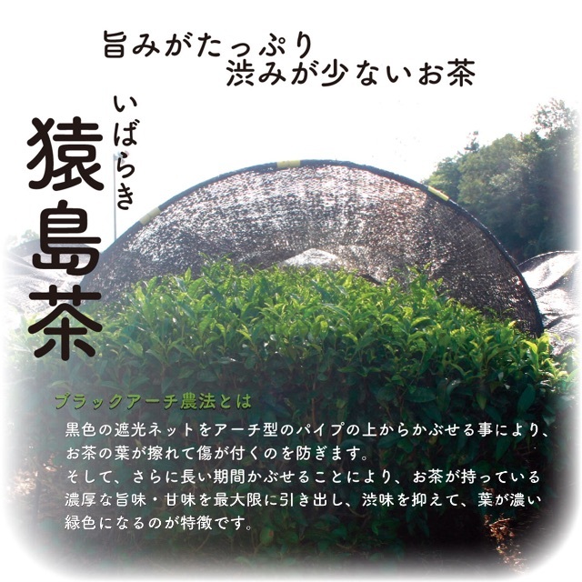 お茶 おすすめ 茶葉【輝き 100g】猿島茶 松田製茶 クリックポスト 送料無料 食品/飲料/酒の飲料(茶)の商品写真