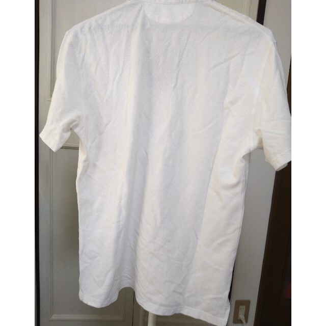 POLO RALPH LAUREN(ポロラルフローレン)のす様専用　ポロ・ラルフローレン　ポロシャツ メンズのトップス(ポロシャツ)の商品写真