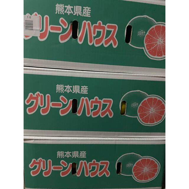 熊本県産訳あり傷ありグリーンハウスみかん約5kg 食品/飲料/酒の食品(フルーツ)の商品写真