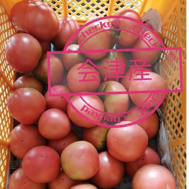 8キロ　高原トマト　南会津産　桃太郎 食品/飲料/酒の食品(野菜)の商品写真