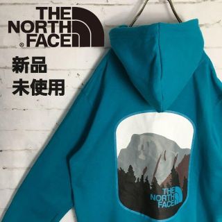 ザノースフェイス(THE NORTH FACE)の新品!!海外限定!!ターコイズブルー 国立公園 ノースフェイス ビッグパーカー(パーカー)