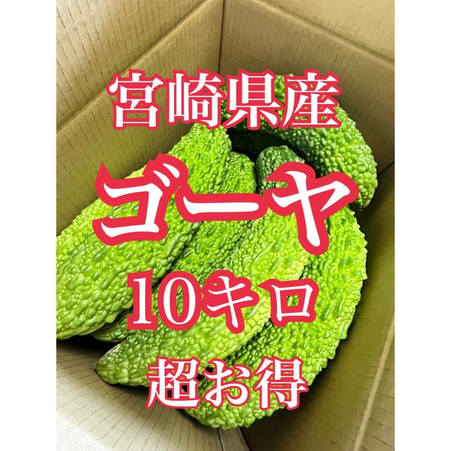 野菜　新鮮ゴーヤ　10キロ　宮崎県産 食品/飲料/酒の食品(野菜)の商品写真