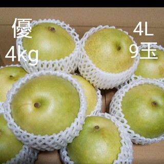 ニ十世紀梨 家庭用 4kg 4L 鳥取県産 9玉か10玉 優品(フルーツ)