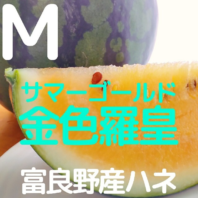 北海道 富良野産 黄色いスイカ 西瓜 金色羅皇 サマーゴールド M1玉 家庭用 食品/飲料/酒の食品(フルーツ)の商品写真