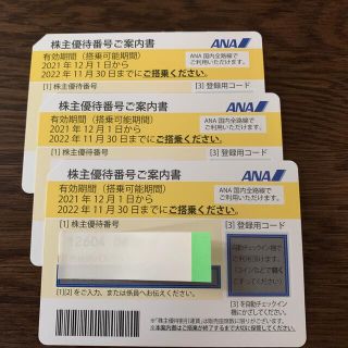 専用です　ANA 株主優待券　2022年11月30日有効　3枚(その他)