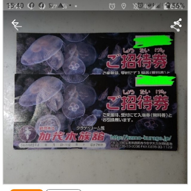 加茂水族館 入館チケット チケットの施設利用券(美術館/博物館)の商品写真