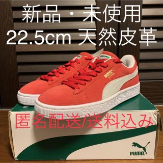 プーマ(PUMA)のPUMA SUEDE CLASSIC＋プーマ スエード クラシック プラス(スニーカー)