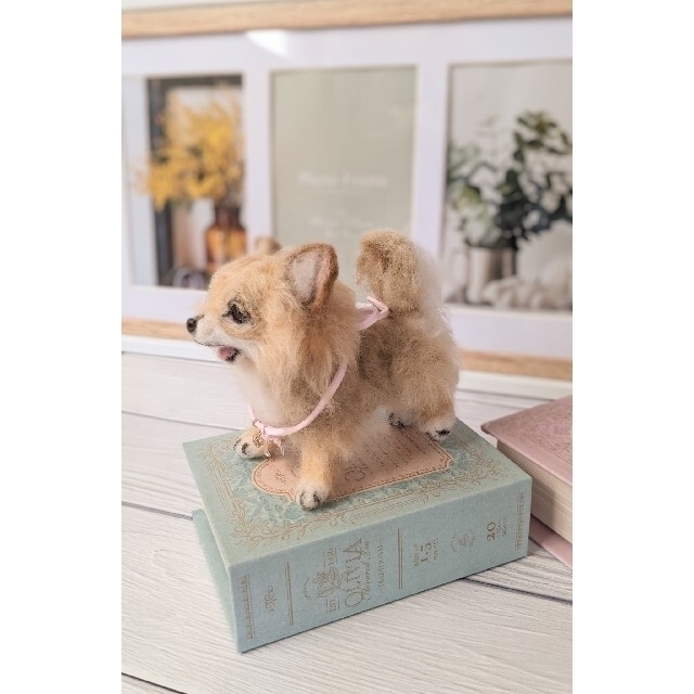 ストアー ときめき様専用➁ 羊毛フェルト ♡ヨーキー ♡チワワ 犬