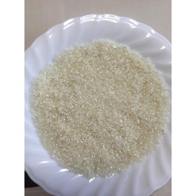 高知【在庫処分】令和3年高食味 低農薬栽培高知コシヒカリ玄米25kg