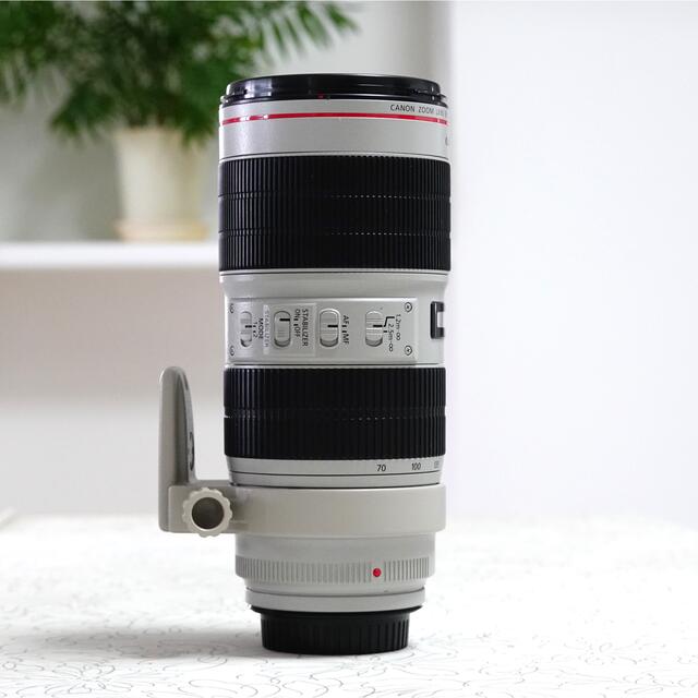 EF70-200mm F2.8L IS III USMとエクステンダーセット 2