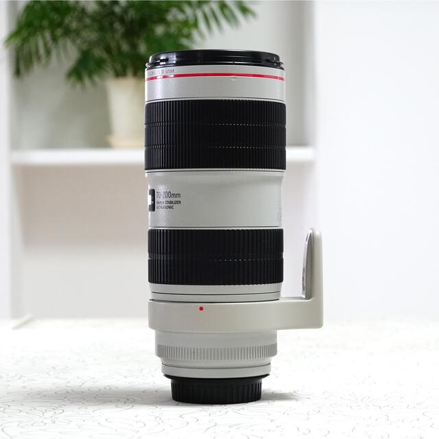 EF70-200mm F2.8L IS III USMとエクステンダーセット 4