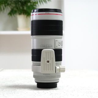 EF70-200mm F2.8L IS III USMとエクステンダーセット