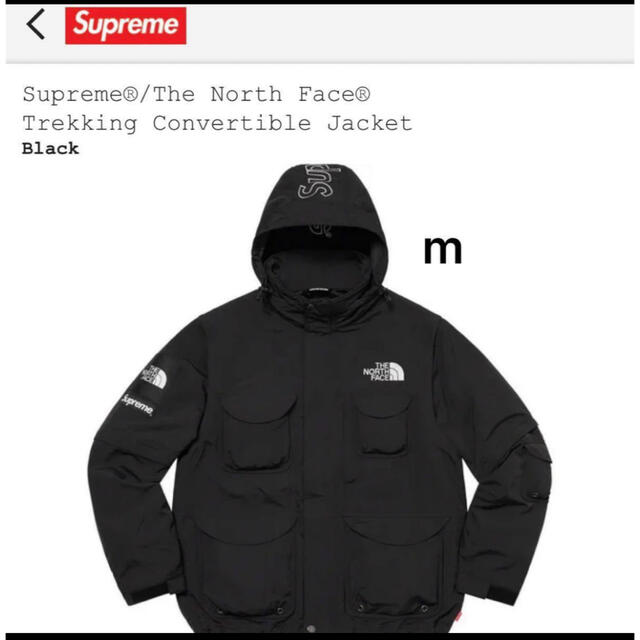 【専用】Supreme / The North Face Trekkingメンズ