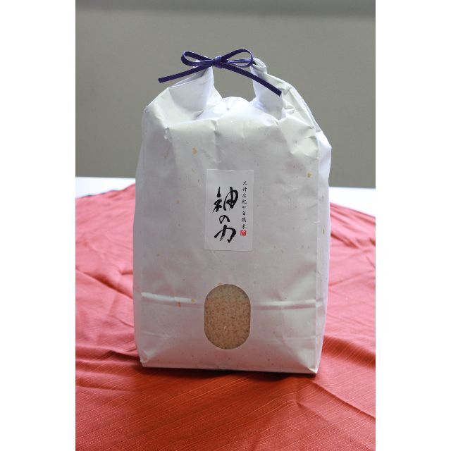 🌸🌸🌸「神の力」こしひかり白米5kg 食品/飲料/酒の食品(米/穀物)の商品写真