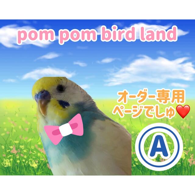 インコおもちゃオーダー専用ページA♡pom pom bird land