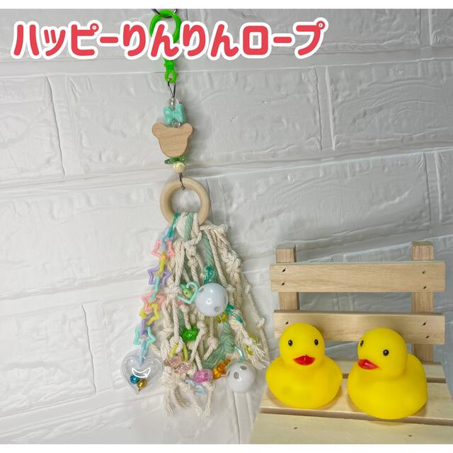 オーダー専用ページＢ♡pom pom bird land