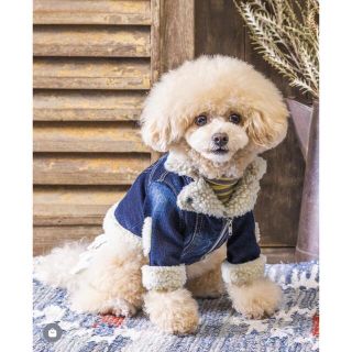 AS KNOW AS - 最終値下げ☆新品☆アズノウアズデワン☆デニムボア