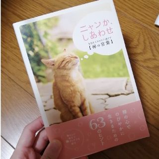 ニャンか、しあわせ【禅の言葉】(その他)