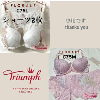 Triumph - トリンプ フロラーレ クライミングローズ C75L/C75Mの通販