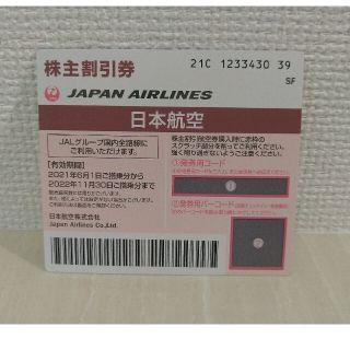 日本航空　株主優待券　2022年11月期限(その他)