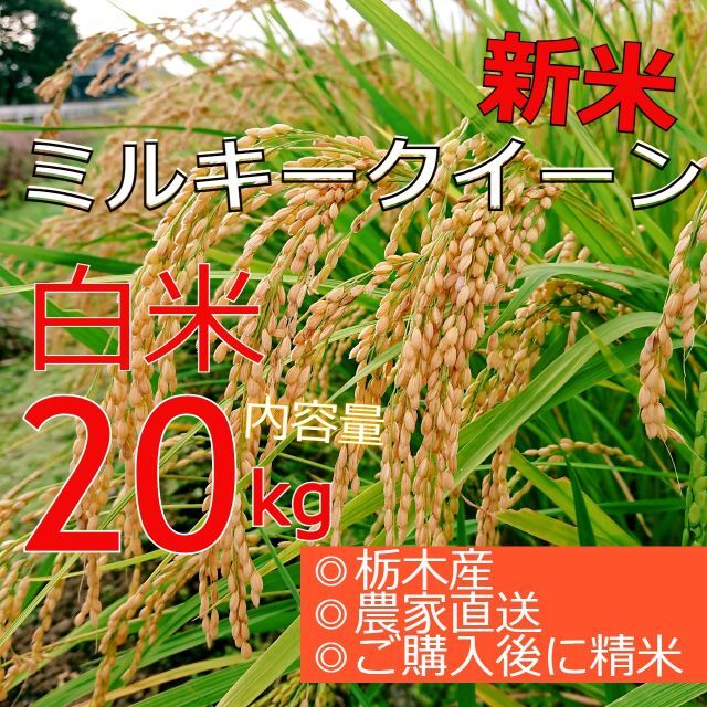 令和４年産「ミルキークイーン」農家直送　白米　20kg（5kg×4袋）米/穀物