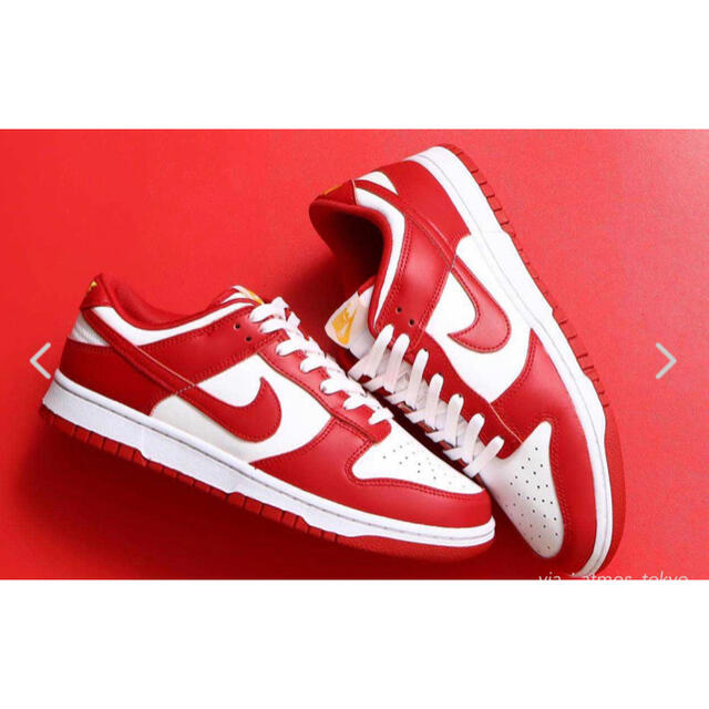 Nike Dunk Low Gym Red 24cm 1
