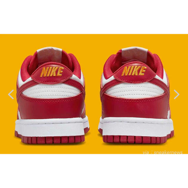 Nike Dunk Low Gym Red 24cm 2