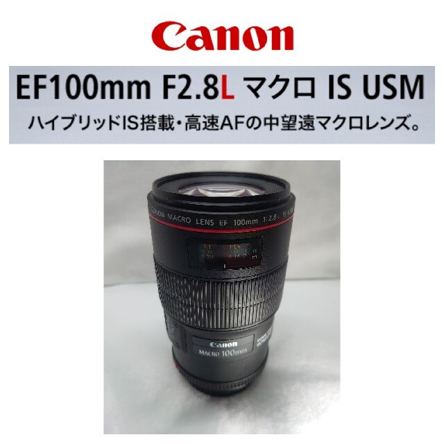 Canon キヤノン EF100mm F2.8L Macro IS USM 新素材新作 www.gold-and