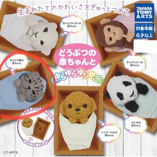 どうぶつの赤ちゃんと ゆらゆらゆりかご　キジトラの赤ちゃん(新品未開封)(その他)