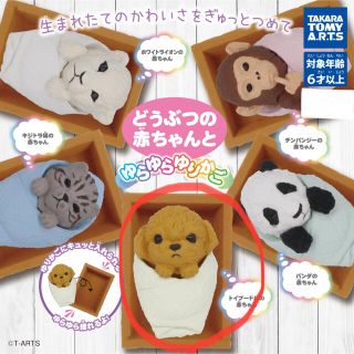 どうぶつの赤ちゃんと ゆらゆらゆりかご　トイプードルの赤ちゃん (新品未開封)(その他)